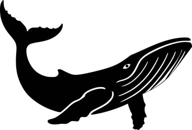 Büyük balina. Hayvan herif. Vektör grafikleri