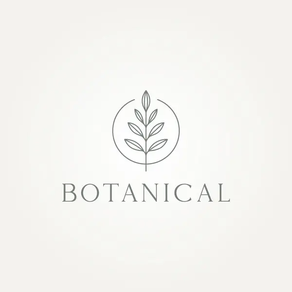 Minimalista Botânica Folhas Linha Arte Ícone Logotipo Modelo Vetor Ilustração Vetores De Bancos De Imagens Sem Royalties