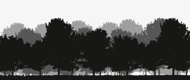 Spruce ve Pines 'in vektör silueti. Yatay ladin arka planı. Spruce ağacı.