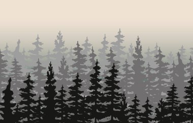 Spruce ve Pines 'in vektör silueti. Yatay ladin arka planı. Spruce ağacı.