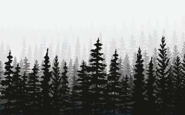 Spruce ve Pines 'in vektör silueti. Yatay ladin arka planı. Spruce ağacı.