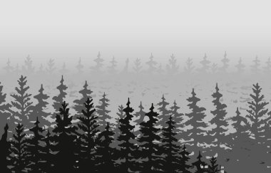 Spruce ve Pines 'in vektör silueti. Yatay ladin arka planı. Spruce ağacı.