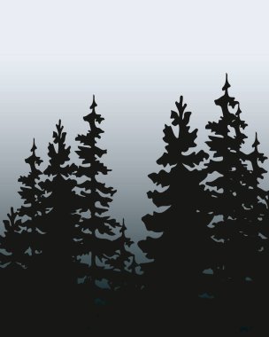 Spruce ve Pines 'in vektör silueti. Yatay ladin arka planı. Spruce ağacı.