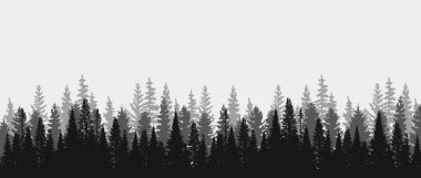 Treeline Spruce and Pines 'ın vektör silueti