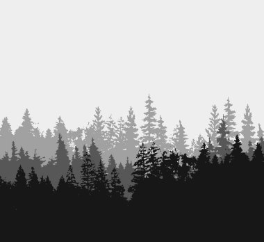 Treeline Spruce and Pines 'ın vektör silueti