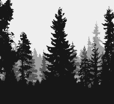 Treeline Spruce and Pines 'ın vektör silueti