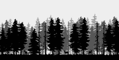 Treeline Spruce and Pines 'ın vektör silueti