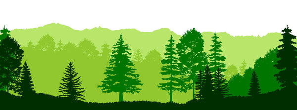 Spruce treeline silhouette landscape. Pine tree silhouette landscape