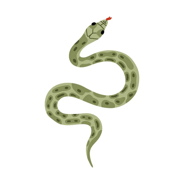 手拉着蛇群热带或野生西毒毒蛇在顶部视图 绿色危险的蛇在背景上被隔离 病媒野生生物概念 丛林中或动物园里的蛇 伸出舌头滑行 — 图库矢量图片