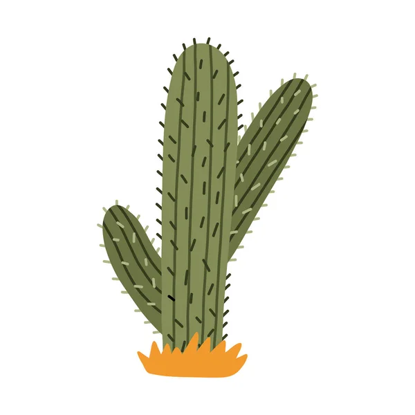 Joli Cactus Saguaro Dessiné Main Mexique Désert Far West Vecteur — Image vectorielle