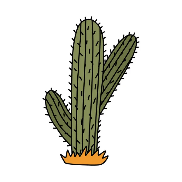 Mignon Gribouillage Cactus Saguaro Mexique Désert Far West Avec Contour — Image vectorielle