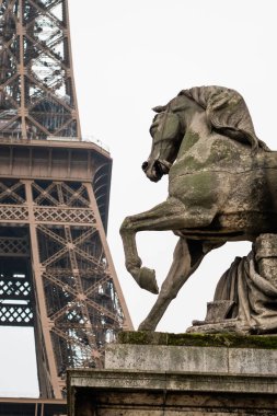 Paris, Fransa 'daki Eyfel Kulesi' nin eteğindeki at.