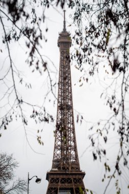 Paris 'teki Eyfel Kulesi' nde sonbahar dalları - Fransa