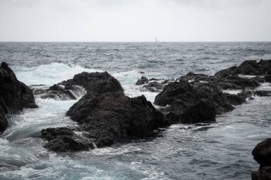 Kanarya Adaları 'nda Tenerife' nin kıyı manzarası