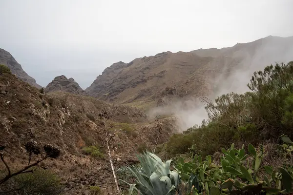 Tenerife Adası 'ndaki Masca dağlarından deniz manzarası
