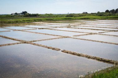 Salt marsh at harvest time in Guerande in France clipart