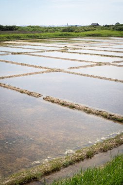 Fransa 'nın Guerande şehrinde hasat zamanında tuz bataklığı.