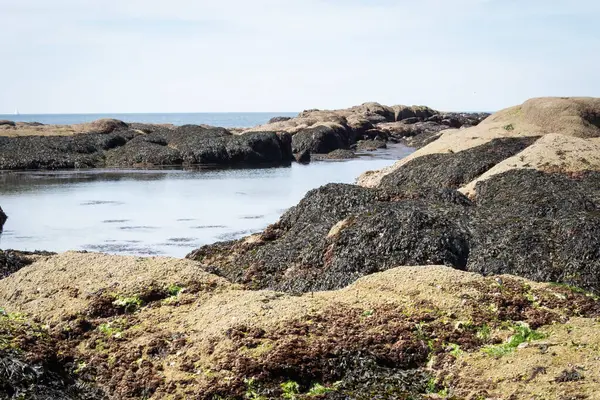 stock image Beach along the coast of La Turballe in Brittany in France