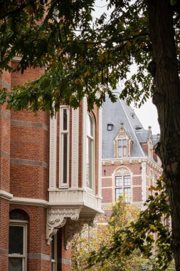 1. Gün boyunca Amsterdam sokaklarında - Hollanda