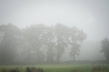 Amsterdam 'dan Paris' e otoyolda Kuzey Denizi sisi - Hollanda