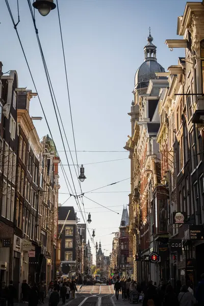Amsterdam caddelerinde 2 - Hollanda