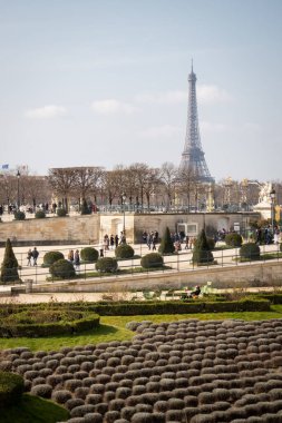Sabah Paris, Fransa 'daki Tuileries Garden' da