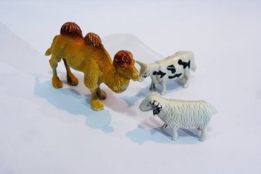 Oyuncaklar, hayvanlar, inekler, koyunlar ve deve farklı pozlarda beyaz arka planda izole edilmiş, Kurban Bayramı