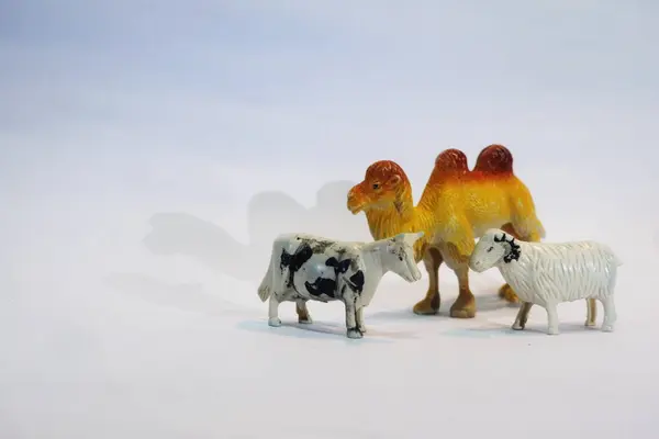 Oyuncaklar, hayvanlar, inekler, koyunlar ve deve farklı pozlarda beyaz arka planda izole edilmiş, Kurban Bayramı