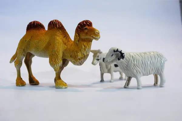 Oyuncaklar, hayvanlar, inekler, koyunlar ve deve farklı pozlarda beyaz arka planda izole edilmiş, Kurban Bayramı