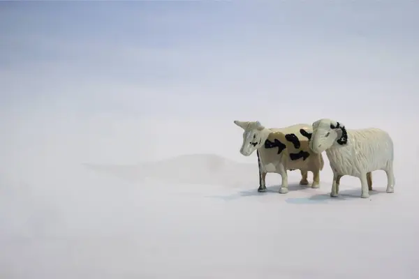 Oyuncaklar, hayvanlar, inekler, koyunlar ve deve farklı pozlarda beyaz arka planda izole edilmiş, Kurban Bayramı
