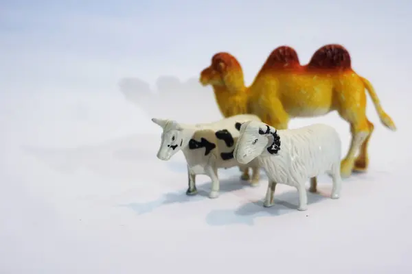 Oyuncaklar, hayvanlar, inekler, koyunlar ve deve farklı pozlarda beyaz arka planda izole edilmiş, Kurban Bayramı