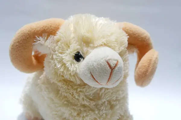 Minyatür vahşi hayvanın serbest fotokopi alanını kapat