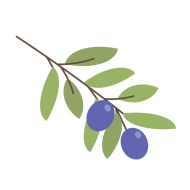 Düz tasarımda basit zeytin çizimi