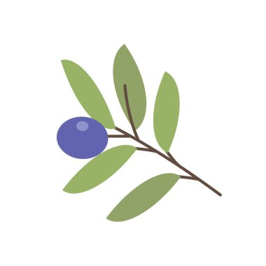 Düz tasarım 2 'de basit zeytin çizimi