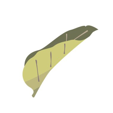 Yan taraftaki yeşil yaprağın görüntüsü