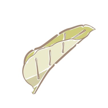 Yandan görünen yumuşak bir çizgi dokunuşu olan bir yaprak.