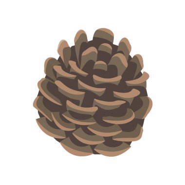 Basit kahverengi çam kozalağı çizimi