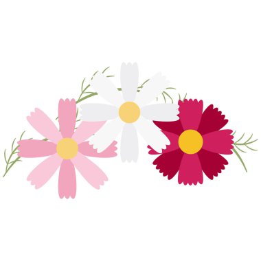 Kozmos Çiçeği Resmetme Dekoratif Malzemesi