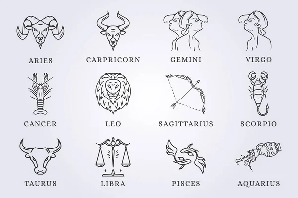 Conjunto Zodiac Astrologia Horóscopo Sinal Linha Arte Vetor Ilustração Design — Vetor de Stock