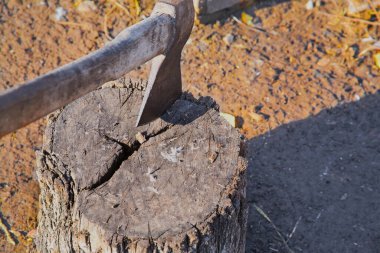 Ahşap bir kütüğe sıkışmış büyük balta, tarımda kümes hayvanları katledilmesi, balta işi.