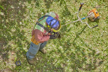 Koruyucu giysiler giyen bahçıvan, iş sürecine başlamadan önce budama tellerini dikkatlice kontrol eder ve değiştirir.