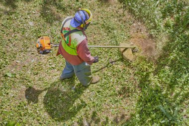 Güvenlik kaskı takan ve çim biçme makinesiyle çalışan bir bahçıvan çimleri sipariş için getirir..