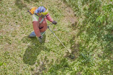Takım elbiseli ve kasklı bir bahçıvan çim biçme makinesiyle fazla büyümüş bir alanda çalışıyor..