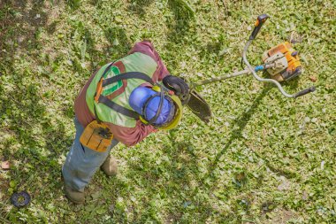 Koruyucu giysili bahçıvan işe başlamadan önce budama iplerini kontrol eder..