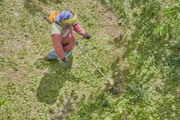Takım elbiseli ve kasklı bir bahçıvan çim biçme makinesiyle fazla büyümüş bir alanda çalışıyor..