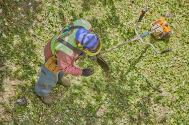 İşe başlamadan önce, koruyucu giysili bahçıvan budama tellerini kontrol eder..