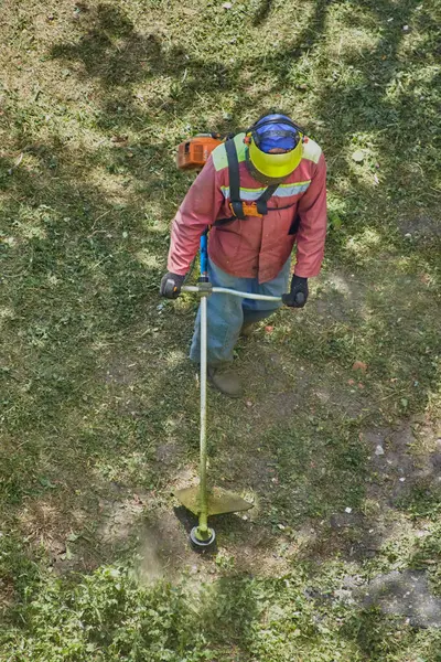 Tam teçhizatlı bir bahçe işçisi aşırı gelişmiş çimleri buduyor.