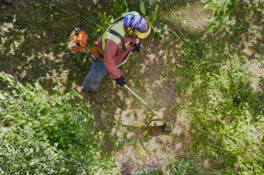 Güvenlik kaskı takmış bir bahçıvan çim biçme makinesiyle uzun otları buduyor..