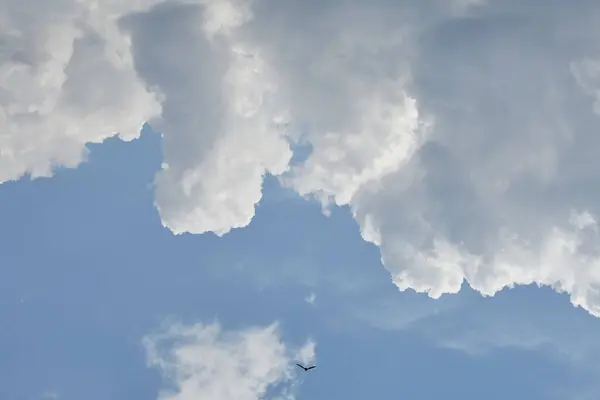 Beyaz kümülüs bulutlarının oluşumu ve gökyüzüne karşı küçük bir kuşun silueti, gökyüzünde ters dönmüş kümülüs bulutlarından oluşan bir sırt.