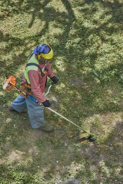 İş kıyafetleri içinde bahçıvan ve bir kask dikkatlice çim biçme makinesiyle kalın çimleri buduyor.
